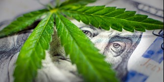 an close up image of a cannabis leaf on top of the 100 dollar bill