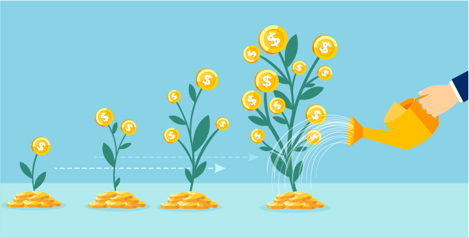 an image of various stages of a money plants with a hand watering the largest money plant